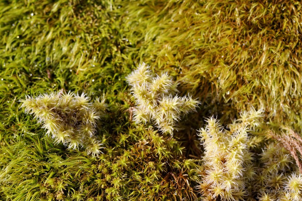 20120624_239